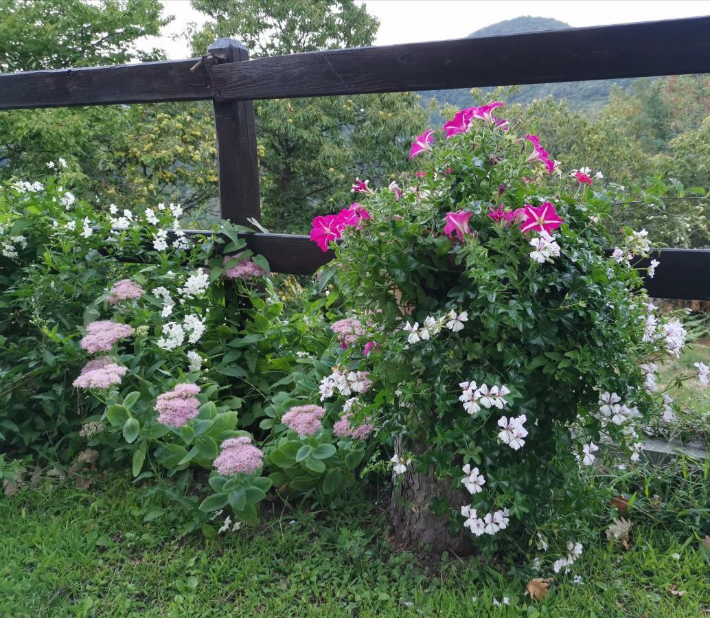 Elsa House Bed & Breakfast Mezzanego Exterior photo
