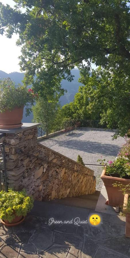 Elsa House Bed & Breakfast Mezzanego Exterior photo